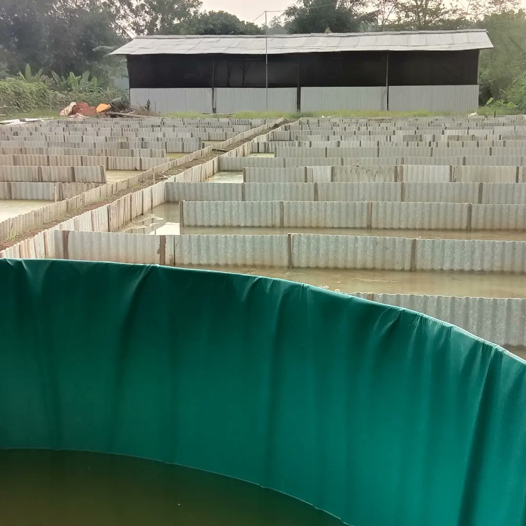 harga pakan ikan sudah menyentuh di angka 400 ribu bagaimanakah nasib pembudidaya ikan air tawar berikutnya?
<a href="/saktitrenggono/">Sakti Wahyu Trenggono</a> <a href="/DitPakan/">Direktorat Pakan</a> <a href="/BudidayaKKP/">Budidaya KKP (DJPB)</a> @puslatluhkp <a href="/djpt_kkp/">Direktorat Jenderal Perikanan Tangkap</a>