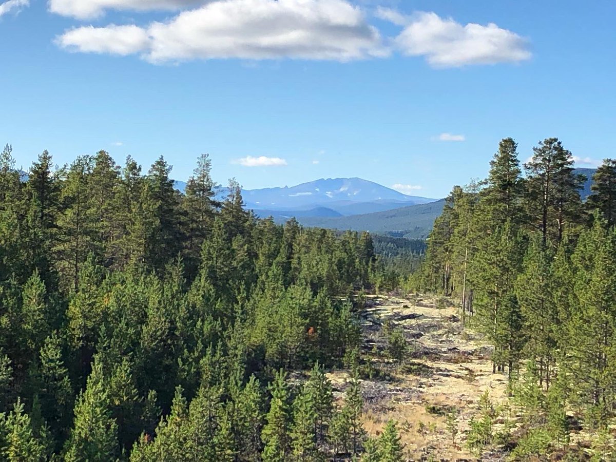 Sabine_Pronk's tweet image. Na Røros richting #Rondane met zicht op #Dovrefjell #norge Slapen in een mooi hutje.