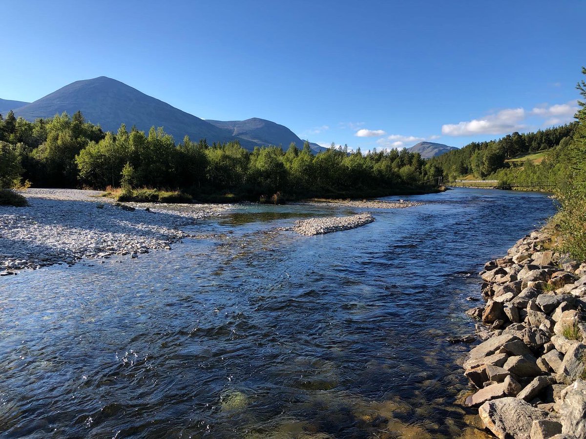 Sabine_Pronk's tweet image. Na Røros richting #Rondane met zicht op #Dovrefjell #norge Slapen in een mooi hutje.