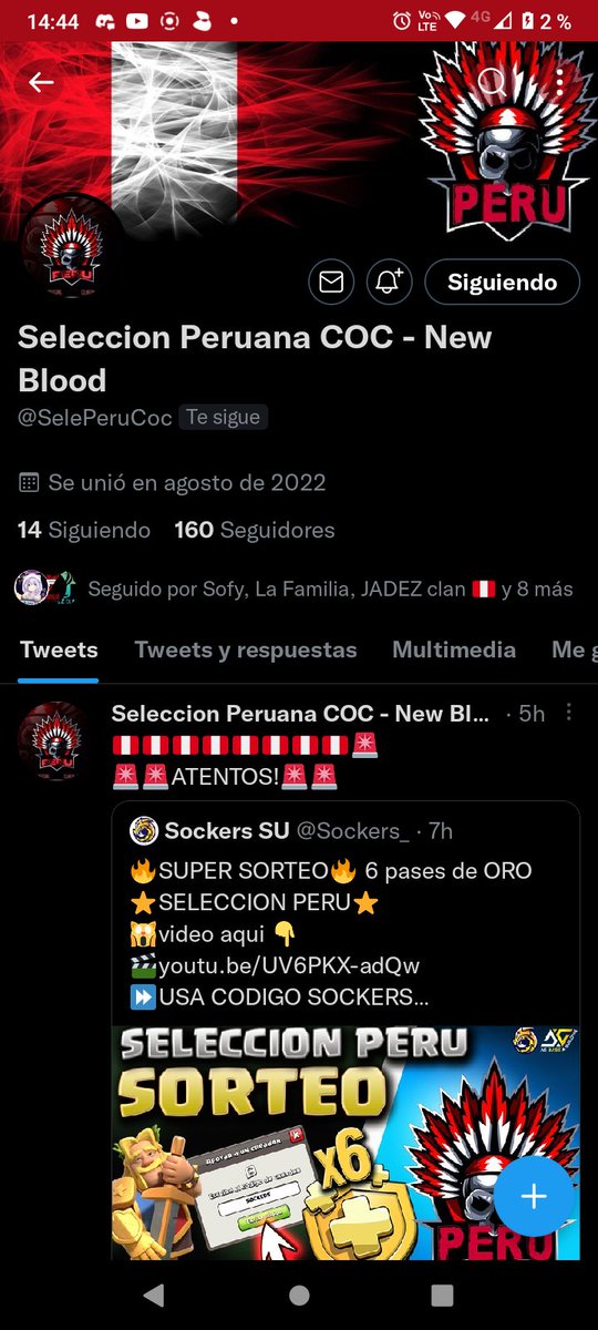 Eder - ⚡SlayerLiger ⚡ tweet media