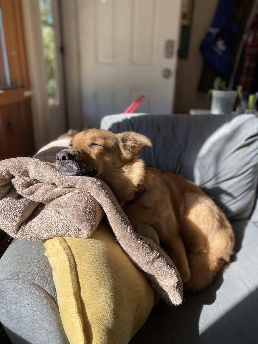 hamletTdog's tweet photo. sun spot https://t.co/RmuHcgSC1Y