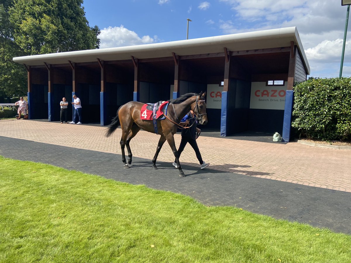 DebsJohnson2's tweet photo. Long drive but worth it for a lovely day  @EpsomRacecourse Proud of Melody running a great race to finish third. Well done to  @GayKelleway &amp; @ClubStrictly on Eloso’s win…well deserved. 🔥🎉🥂🐴👏 https://t.co/fwFEGYcpQW