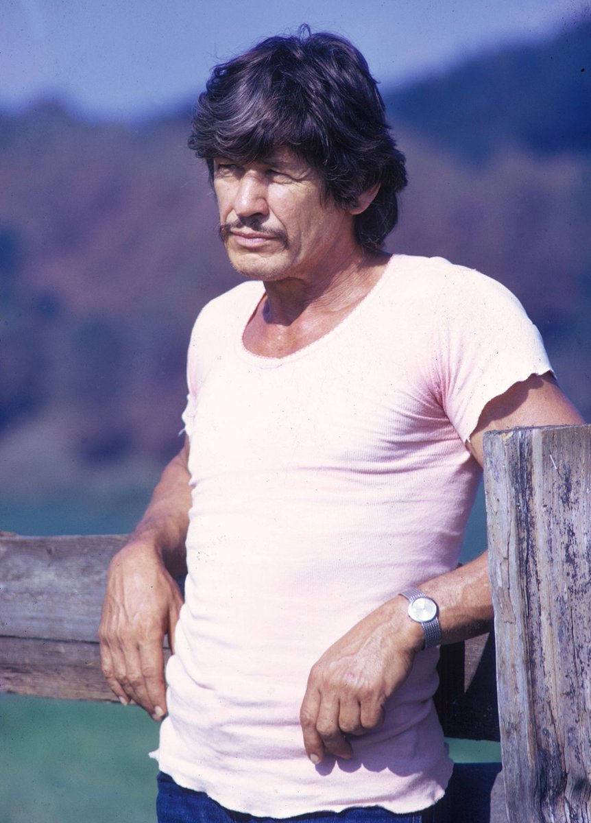 American actor #CharlesBronson died #onthisday in 2003. #DeathWish #TheDirtyDozen #trivia