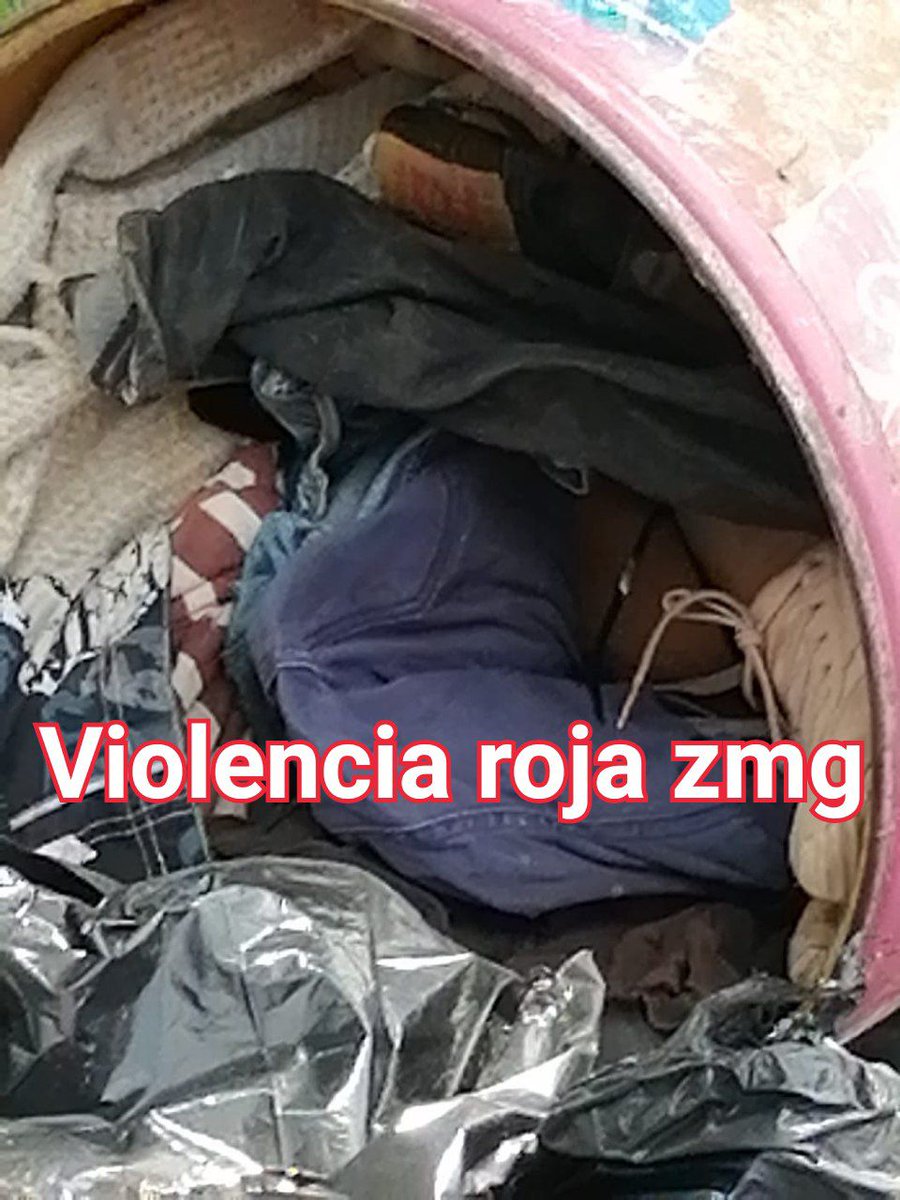 ViolenciaRojaZmg tweet media