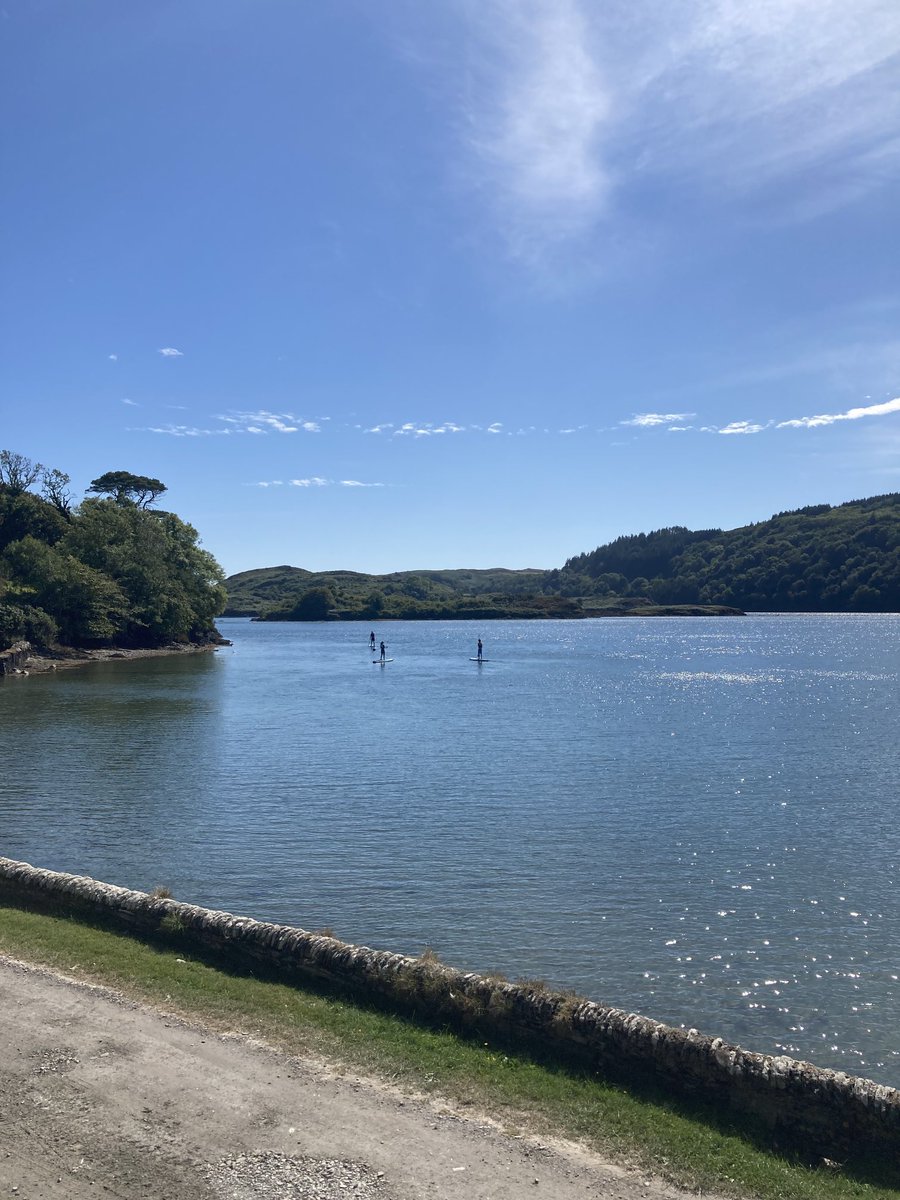 Jill Daly tweet media