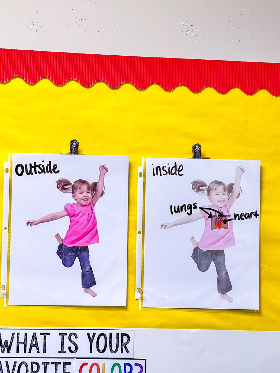 MrsNikkiFoster's tweet image. Our CKLA wall is coming along! We traced a student’s body and have students label it!They’re always super engaged when we bring the Body Parts Poster down! @Keeble_AISD @ShekaDow @DozierMrs @kojessie @i_am_mrs_o_ @JulieSustaita2 #AllAboutMe #KeebleONEteam #AldineConnected #CKLA