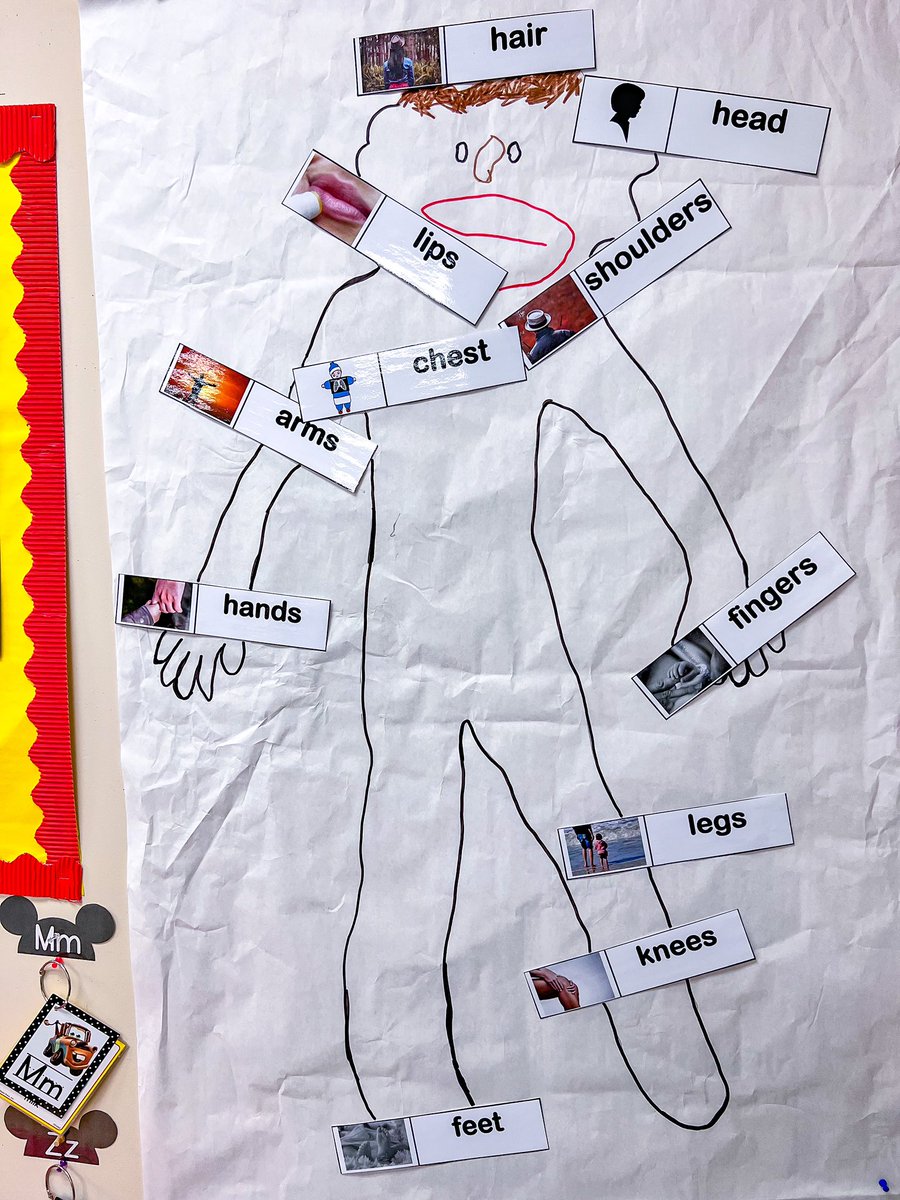 MrsNikkiFoster's tweet image. Our CKLA wall is coming along! We traced a student’s body and have students label it!They’re always super engaged when we bring the Body Parts Poster down! @Keeble_AISD @ShekaDow @DozierMrs @kojessie @i_am_mrs_o_ @JulieSustaita2 #AllAboutMe #KeebleONEteam #AldineConnected #CKLA