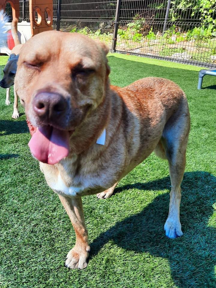 Mrs. Katie Wayne tweet media