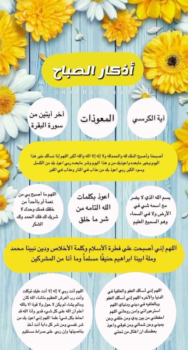 oaaldeeb_dr's tweet photo. أصبحنا وأصبح الملك لله والحمد لله ولا اله الا الله وحده لا شريك له له الملك وله الحمد وهو على كل شيء قدير💮

في الذكر حياه📿
#اذكار https://t.co/R4V7x02F0y