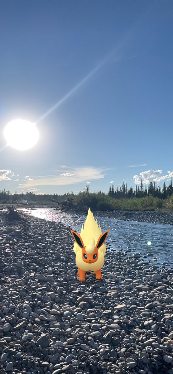 MkQE_MeAwGck's tweet photo. #meaw S #pokemonGoApp bring ur fur babies w u anywhere while they rest at home w AC lol #pokemonGo #pika and #meawgck best friends for life!!! https://t.co/dyt4v6zr7r