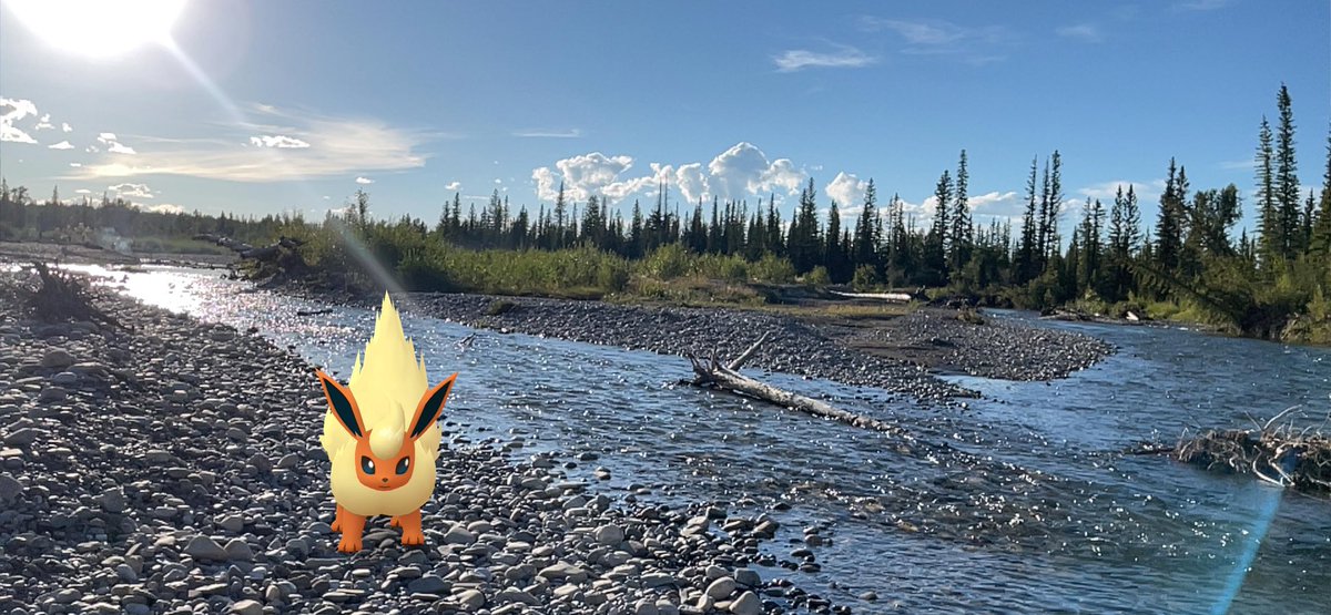 MkQE_MeAwGck's tweet photo. #meaw S #pokemonGoApp bring ur fur babies w u anywhere while they rest at home w AC lol #pokemonGo #pika and #meawgck best friends for life!!! https://t.co/dyt4v6zr7r