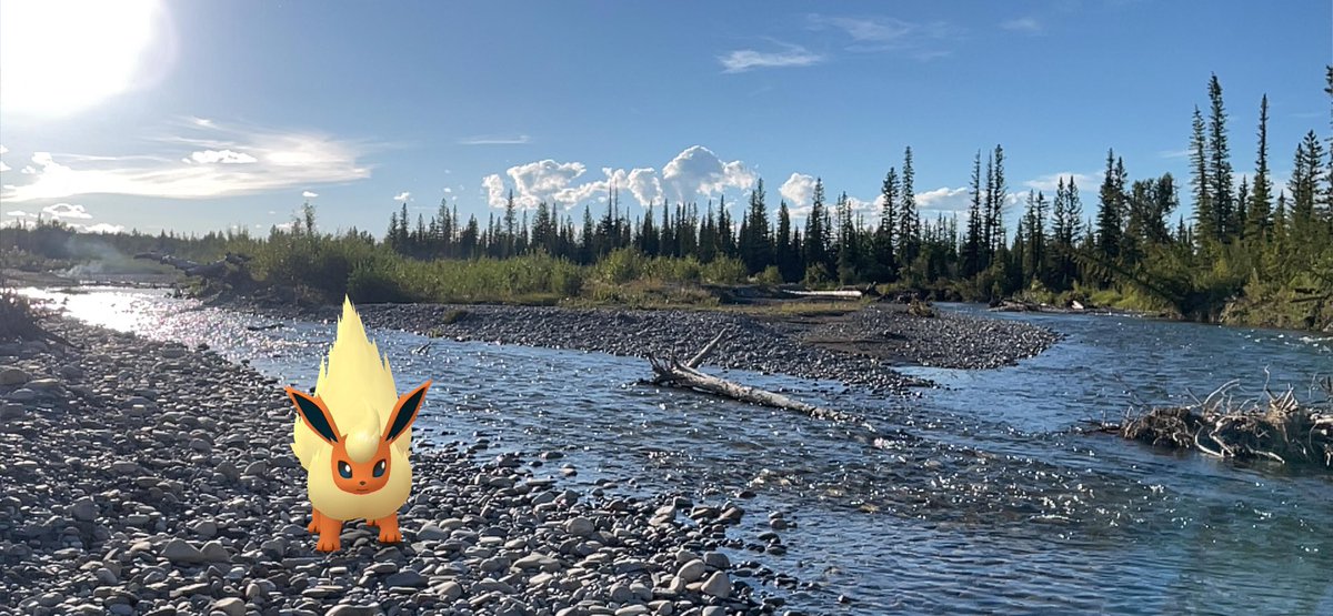 MkQE_MeAwGck's tweet photo. #meaw S #pokemonGoApp bring ur fur babies w u anywhere while they rest at home w AC lol #pokemonGo #pika and #meawgck best friends for life!!! https://t.co/dyt4v6zr7r