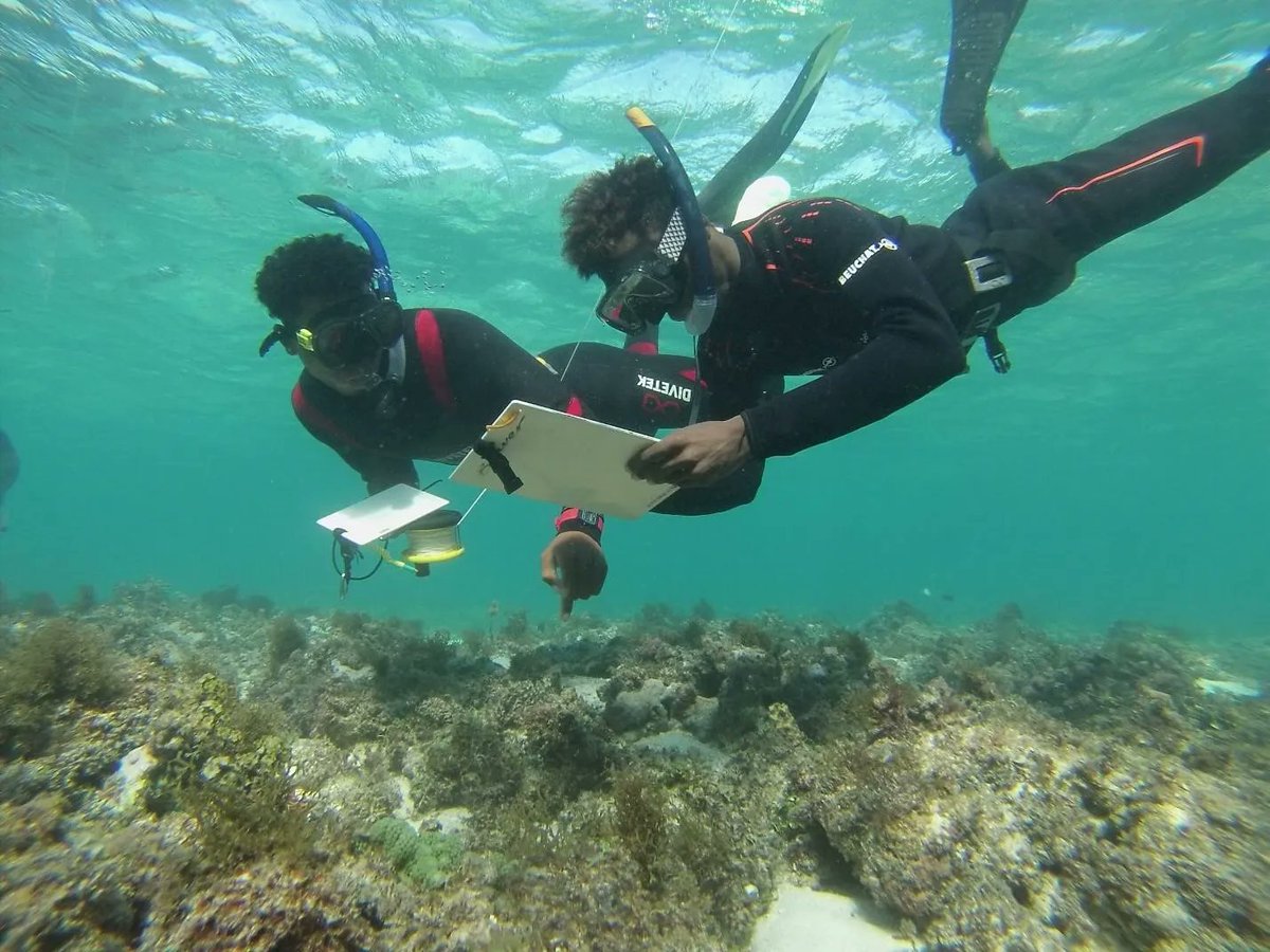 ICCAConsortium's tweet photo. Articles illustrate how communities in southwestern #Madagascar’s locally managed #MarineAreas have made progress to build their capacity for ecological monitoring and expansion of the #marine reserves.
🔗https://t.co/ViFWlOVzI9
#CommunityFisheries https://t.co/iRsMRBqx7N