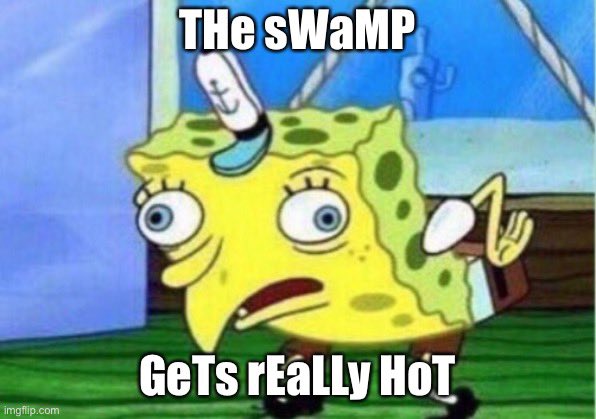 Utah Fans: We’ve got the better OL, better RBs, better QB, better TEs, better LBs, better DL, better DBs…

Florida Fans:

#goutes