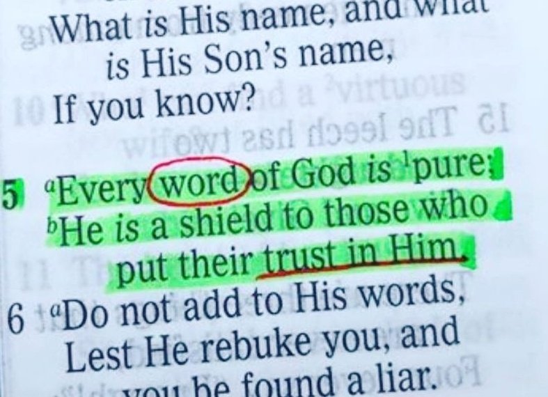 Prayer time 🙏 Proverbs 30:5 #PrayerTimewithBongiWil
