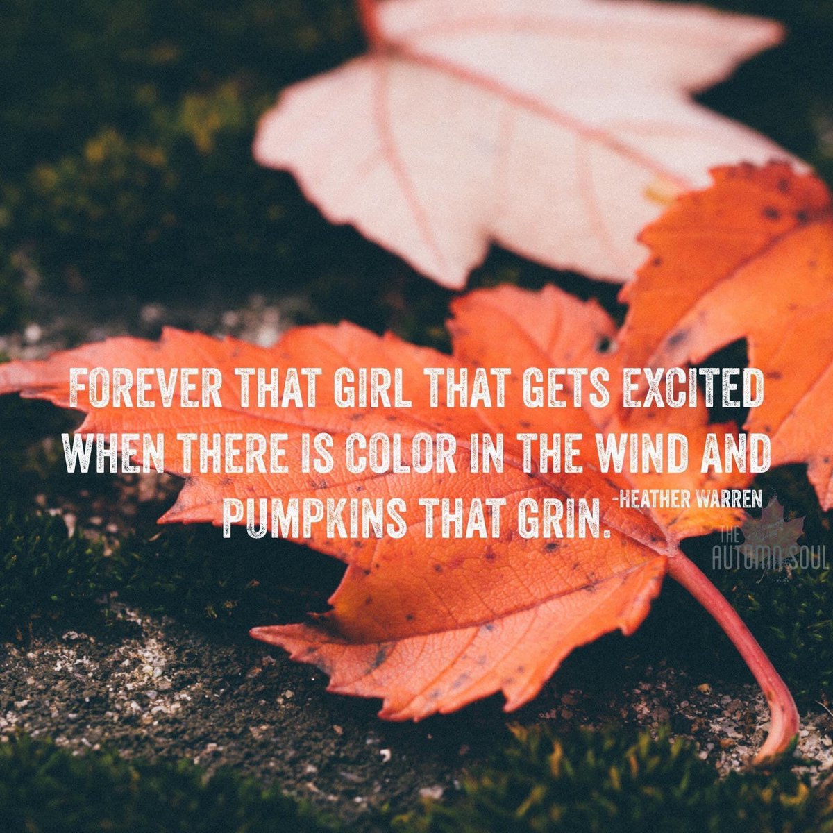 Veronica Linthicum tweet media