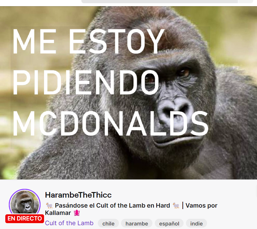 none-on-twitter-este-tio-esta-a-otro-nivel-https-t-co-ot63kchm4f