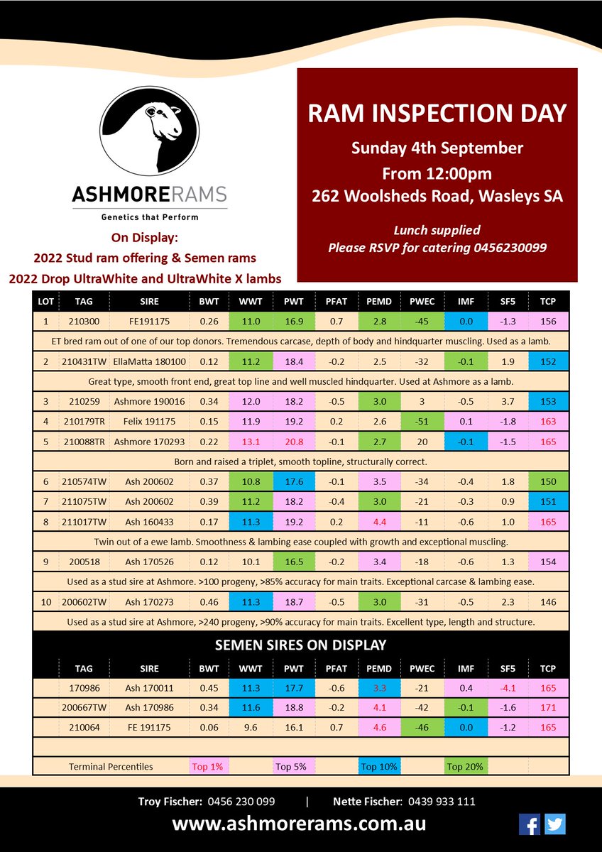 ashmorews's tweet photo. ASHMORE RAMS ANNUAL RAM INSPECTION DAY
Stud Ram inspection day this Sunday from 12-3pm. Sale Stud rams &amp; semen sires will be on display. Our UltraWhite and UltraWhite X lambs will be available to view. 
#AshmoreRams #GeneticsThatPerform https://t.co/qH16gvvEuN