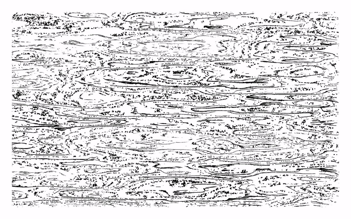🖌 // generative sketches #Moments #sketch #NFTCommunity