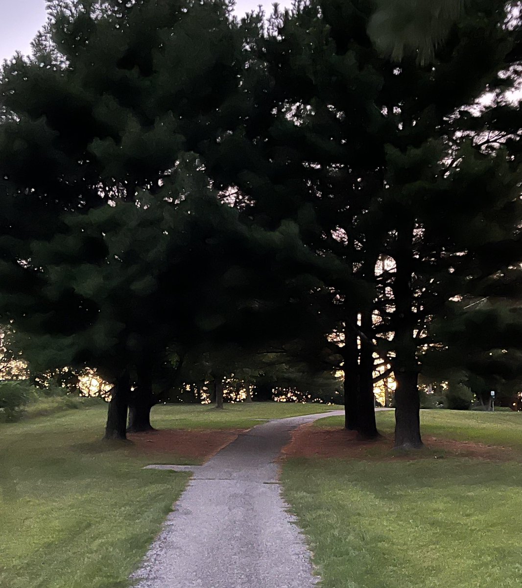cityofames's tweet photo. As the days get shorter and dusk comes earlier, enjoy these pleasant evenings at any of Ames’ beautiful parks!

#getoutside #parks #sunset #alwaysames #smartchoice https://t.co/kn7KnfV2Sa