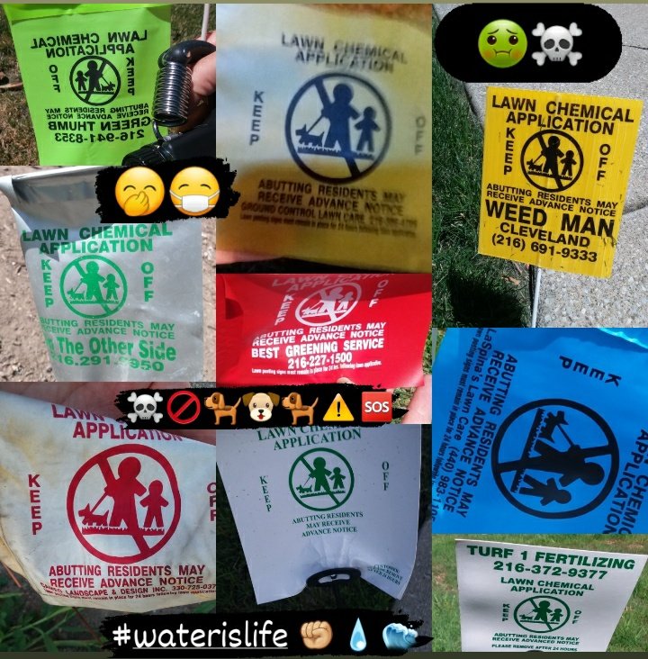ecowatchdogg's tweet photo. #waterIsLife ๐๐ dont spray Round Up, Dicamba, Or 2,4-D! Why You Killing Plants You could be Brewing into tea? #chemlawn sucks! I'm seeing the empty Round Up canisters at the โป๏ธcenter. It's way Too Much! #BanRoundup #glyphosate
โ ๐ขโ https://t.co/XaqygLhTxn