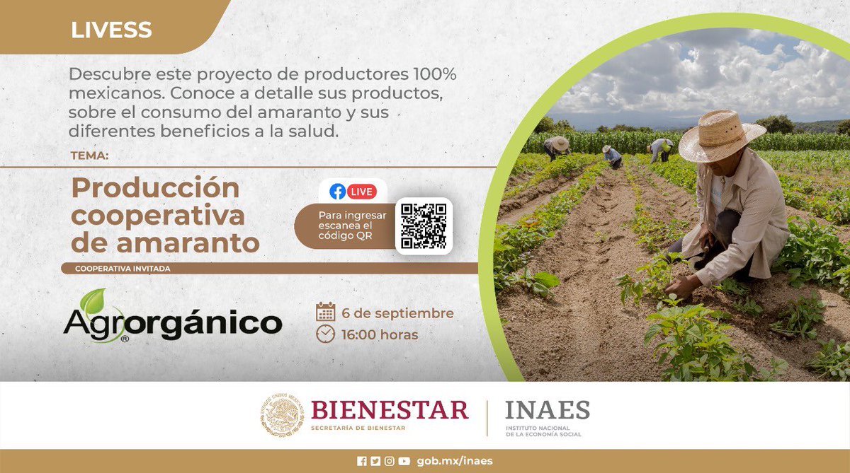 INAESMx's tweet photo. Los #LivESS están de vuelta. Escanea el Código QR.
No te pierdas la transmisión en vivo de este evento donde la #cooperativa @Agrorgánico te hablará de su experiencia y los beneficios de su producto la 6 de septiembre 4:00 pm. https://t.co/LKBQitSxRJ