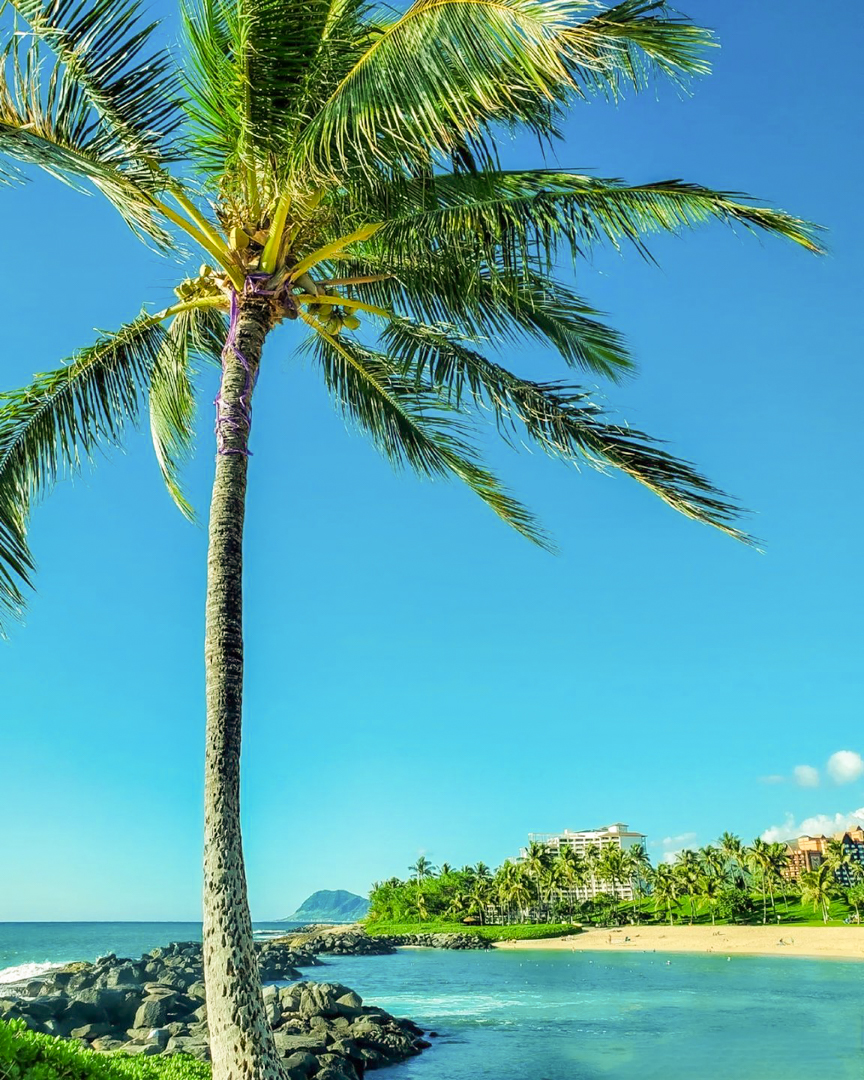 Funjet Vacations tweet media