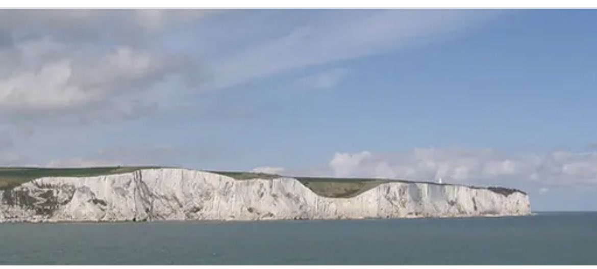 Daniella Mullins tweet media