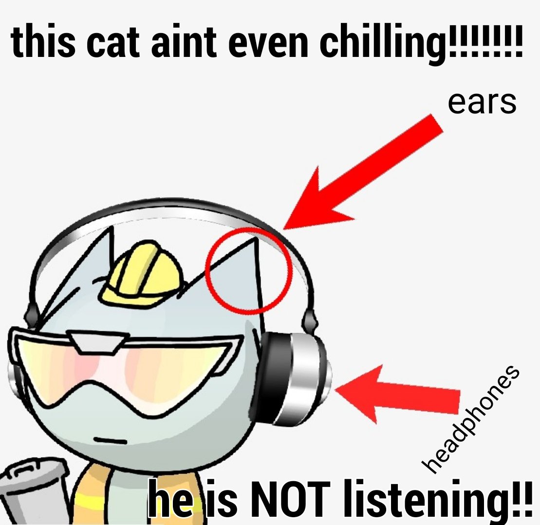 ForeverFelines tweet media