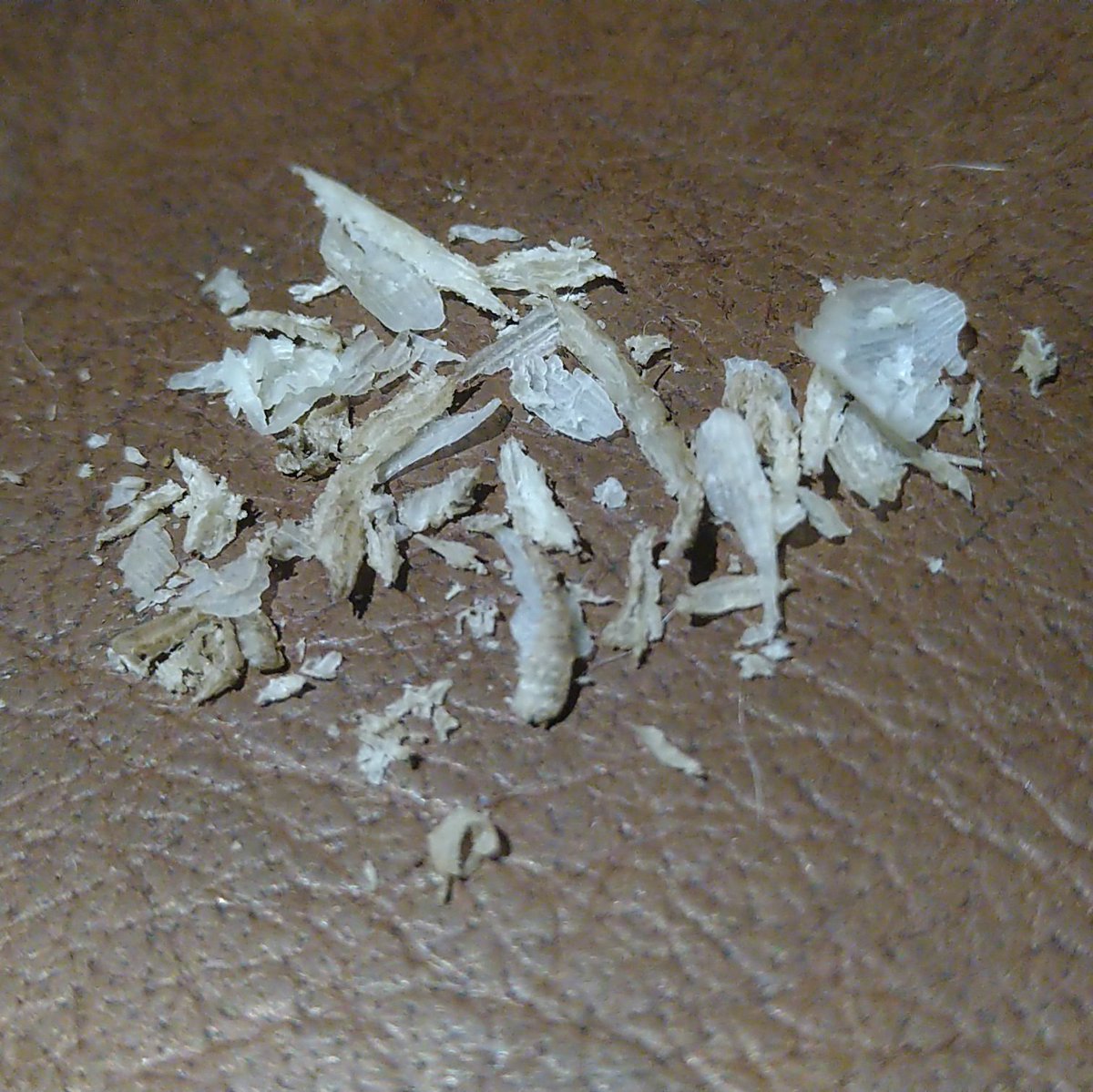 skye_fallin's tweet photo. Who wants these foot peelings?!
£25 cashapp £SkyeFallin

#footfetish #footpics #feetworship #footskin #forsale #everythingforsale #goddess https://t.co/vEa9K6B1SV