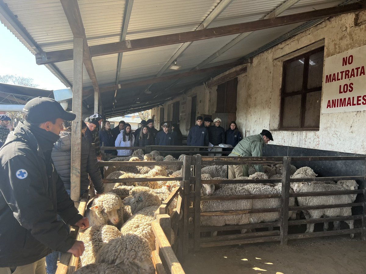 BomberoDel's tweet photo. Visita Facultad De Veterinaria https://t.co/kvQ80zxxGS