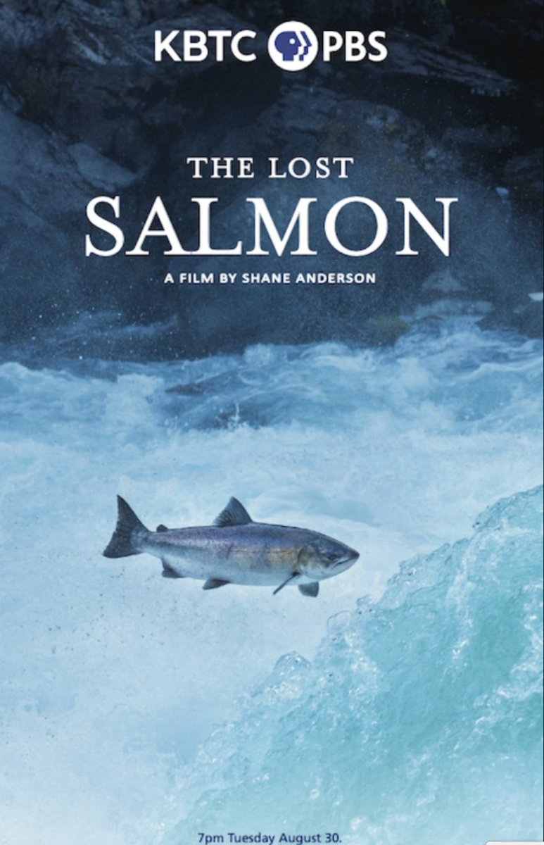 NOAAFish_NWFSC's tweet photo. Is there hope to save spring Chinook #salmon?  "The Lost Salmon" film airs tonight at 7pm Pacific on KBTC/@PBS.  
🔎 Dive deeper to learn about the extinction risk of Chinook salmon due to #climatechange: https://t.co/IQVLBMcBtT https://t.co/a9ZUwxTBYb