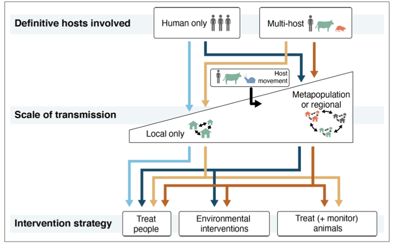 andjanlund's tweet photo. Answers to these two Qs can determine whether #MDA ๐ is enough, or if additional interventions (#SnailControl ๐, #WASH ๐ฆ, #OneHealth ๐) are necessary. By integrating genomic, ecologic and epi data, we can tailor interventions to different contexts to #BeatSchisto.
5/ https://t.co/fyKYly70fI