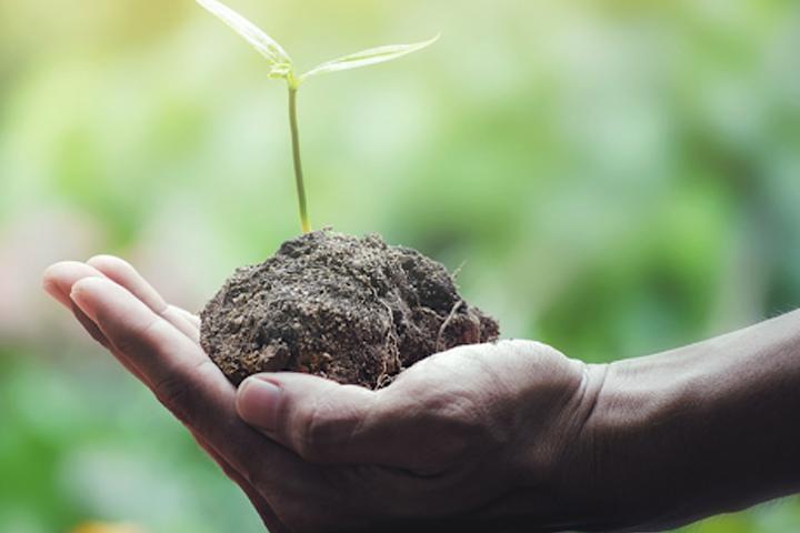 Association_AVD's tweet photo. La préservation et la protection de notre biodiversité passe par des actions concrètes et efficaces, car l'avenir de la planète dépend surtout de nos efforts consentis pour cette grande cause. @Association_AVD, @PNUDCameroun, @diplocam_minrex, @FrancophonieUAE, @AfricanUnionUN https://t.co/EM0Aljv5Ea