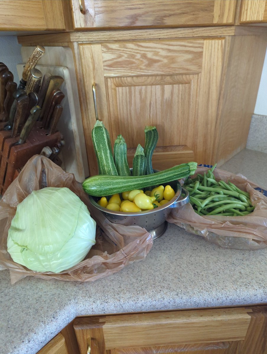 RecycleGrrl's tweet photo. #FitFederationAugust where has the month gone ๐คท๐ปโโ๏ธ
45 minutes picking veggies and garden maintenance
30 minutes elliptical with Lower Decks https://t.co/RgJld67bAa