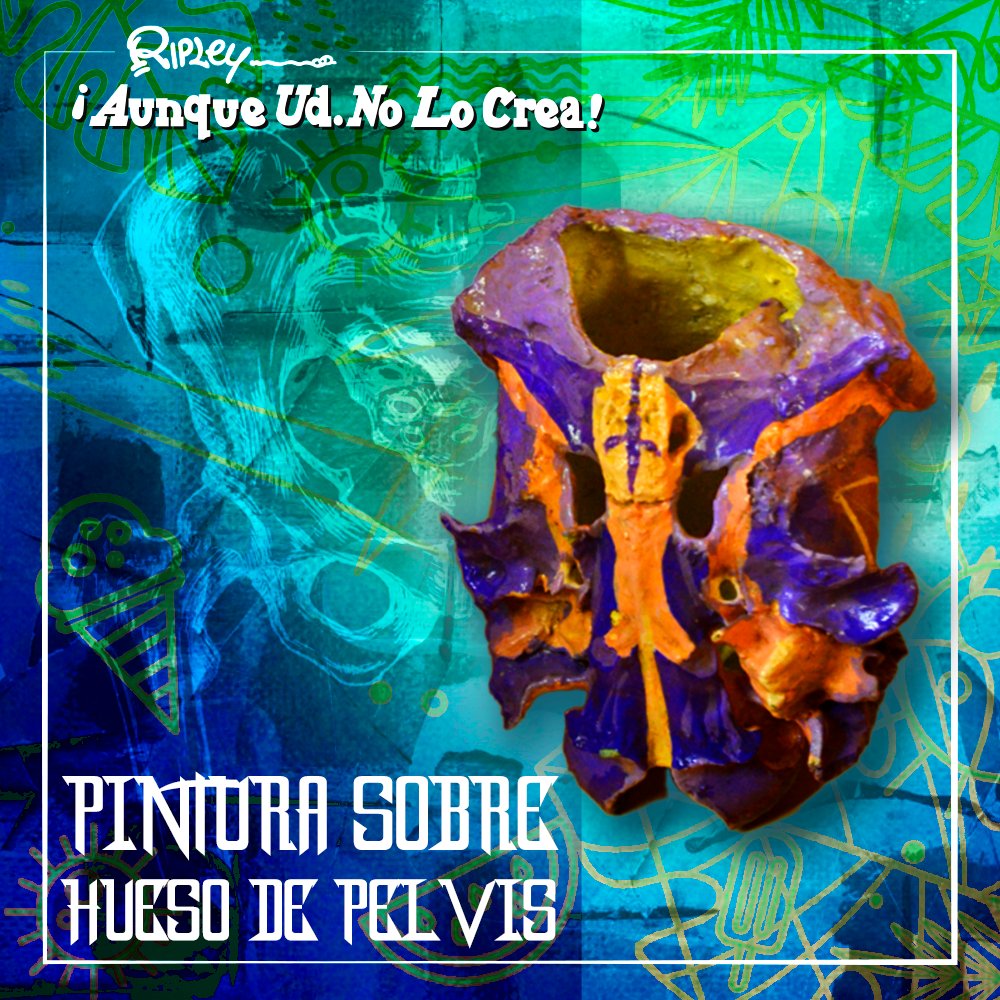 museoripley's tweet photo. Algunas personas utilizan los objetos más curiosos que puedas imaginar para plasmar su arte. Por ejemplo, esta obra está hecha sobre un hueso de pelvis. #AunqueUstedNoLoCrea #MuseodeRipley #museoscdmx #CDMX https://t.co/uaJaS9zEKC