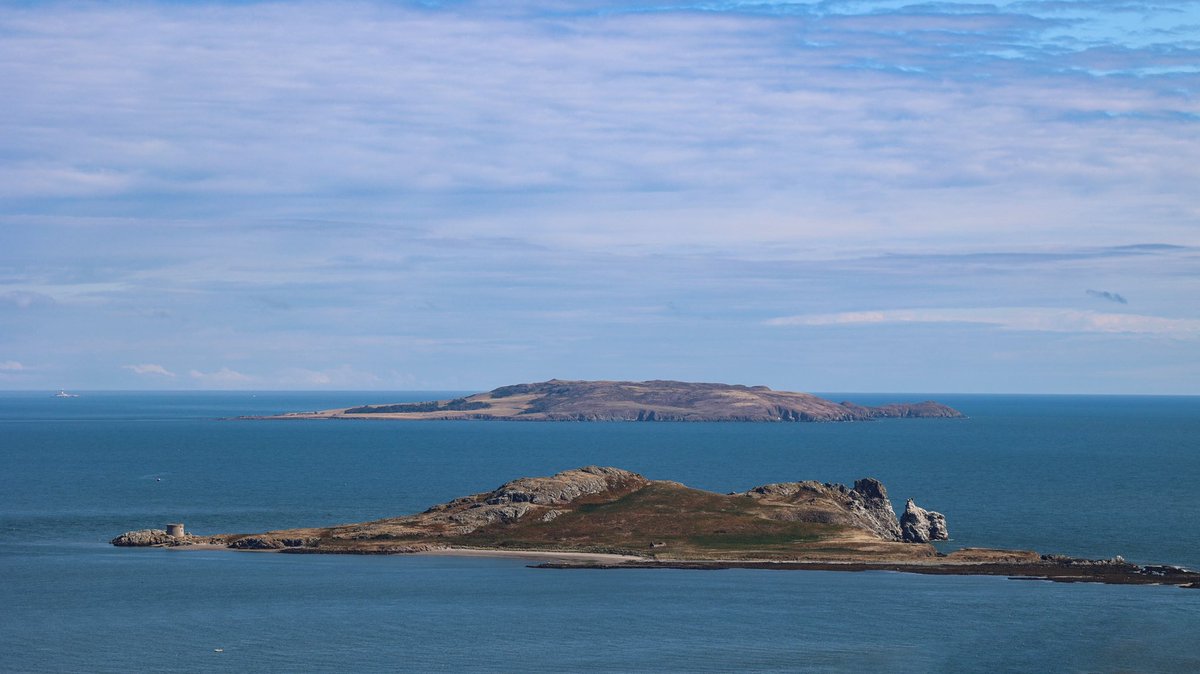 AnnBruen's tweet image. Stunning sunshine and views from the Howth hills and cliff walk this morning ❤️

@deric_tv @MeaneysWeather @ancienteastIRL @HowthTidyTowns @ThePhotoHour @DiscoverIreland @VisitDublin @LovinDublin @LensAreLive @LoveFingalDub