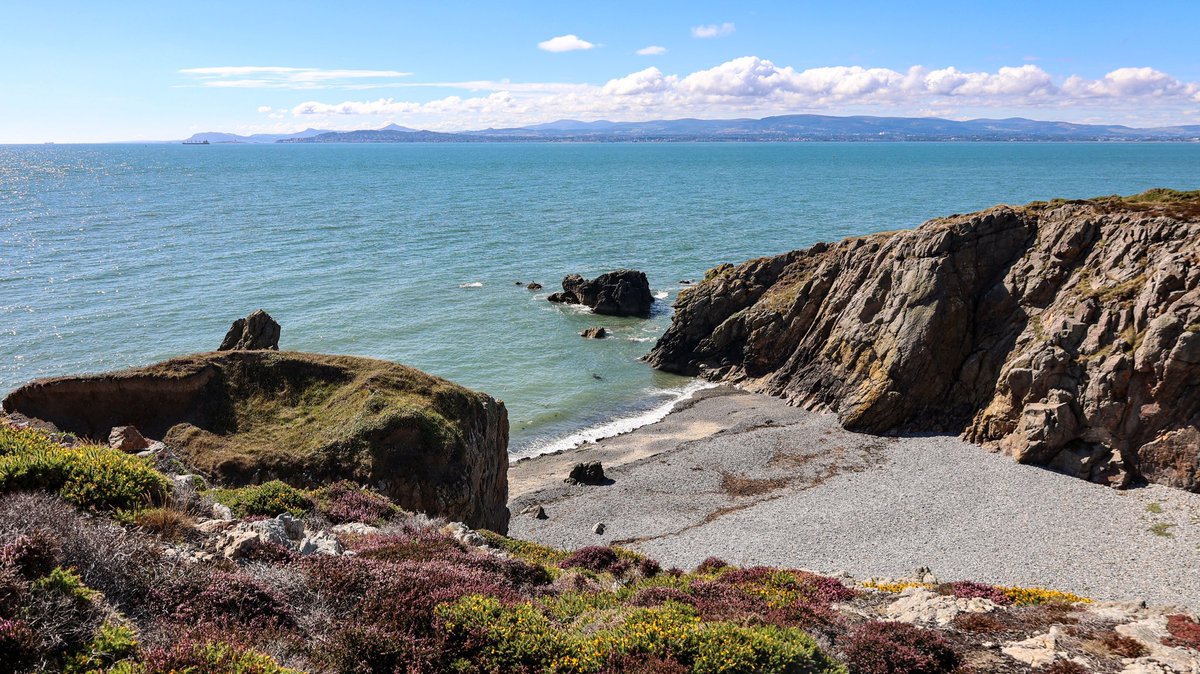 AnnBruen's tweet image. Stunning sunshine and views from the Howth hills and cliff walk this morning ❤️

@deric_tv @MeaneysWeather @ancienteastIRL @HowthTidyTowns @ThePhotoHour @DiscoverIreland @VisitDublin @LovinDublin @LensAreLive @LoveFingalDub