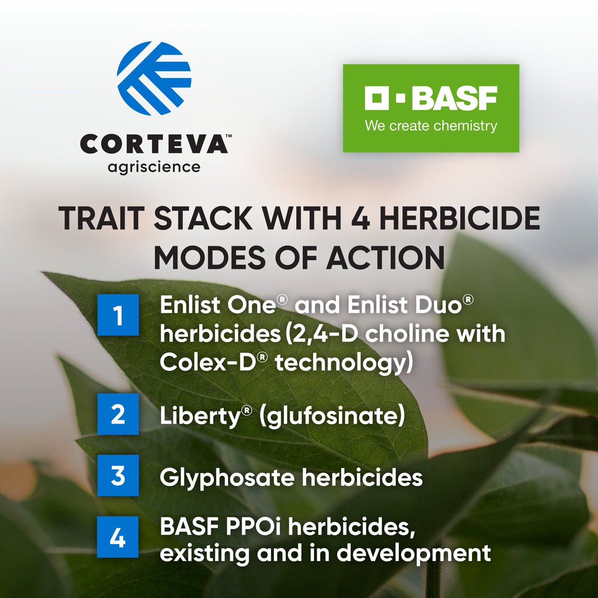 Corteva Agriscience 🤝 <a href="/BASFAgro/">BASF Agricultural Solutions</a>

Taking on tough weeds in soybean fields: bit.ly/3wGaDOH