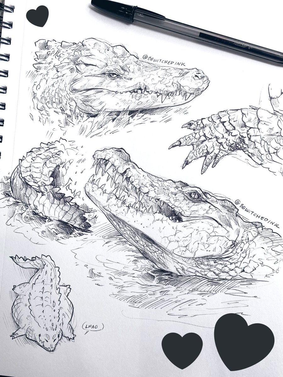 🖤 Coffeehouse Crocodiles 🖤
Everyone knows this witch loves her Gators, but it's good to play with other Crocodilians now and then 🖊