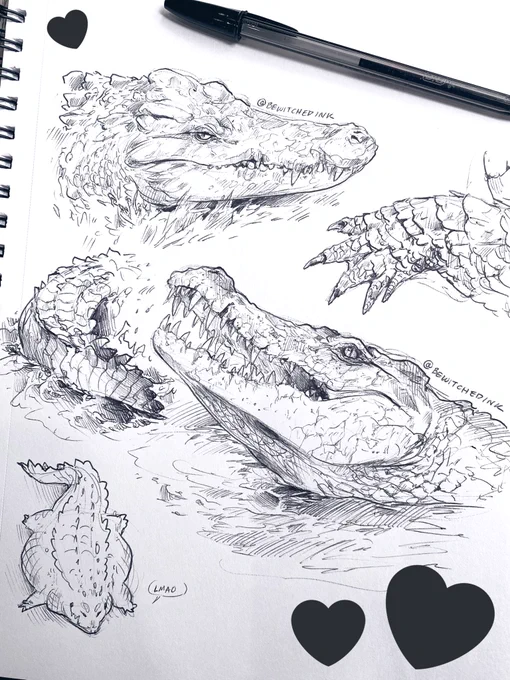 🖤 Coffeehouse Crocodiles 🖤

Everyone knows this witch loves her Gators, but it's good to play with other Crocodilians now and then 🖊 