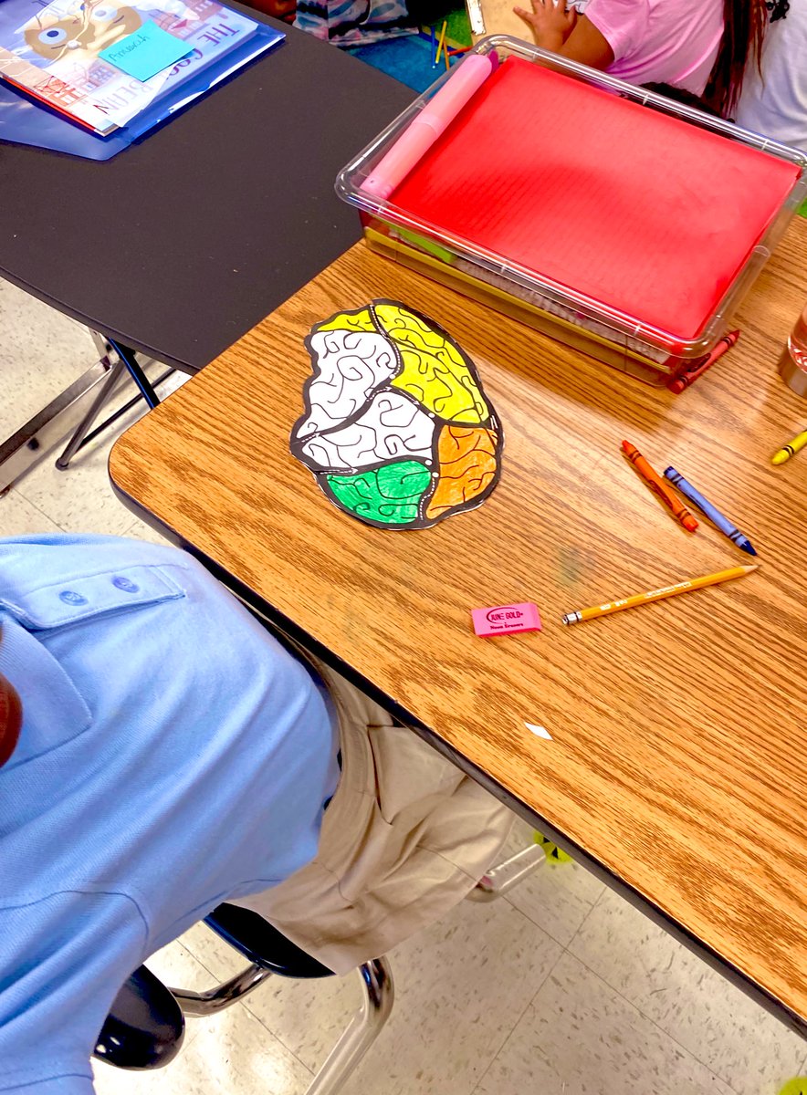 _typicalteacher's tweet photo. Teaching about #GrowthMindset and the brain and how it works is my JAM! My Ss learn so much ♥️ #RGSD https://t.co/gYXXUqzgh6
