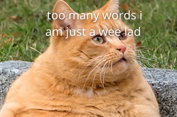 The Southeastern Association of Fish and Wildlife Agencies Minorities in Natural Resources Conservation Committee (MINRC) is looking for minority students who'd like to participate in the 76th Annual SEAFWA conference. Apply here: seafwa.org/news/minoritie…