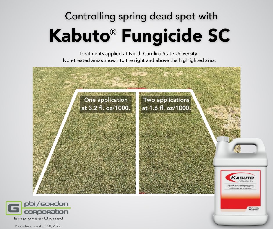 PBIGordonTurf's tweet image. For excellent control of #SpringDeadSpot, use Kabuto® Fungicide SC. Just one application provides over 90% control, saving you time, money, and labor. #PBIGordon #TurfTwitter