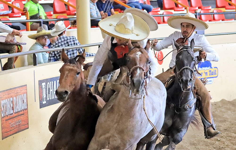 millonariothv's tweet photo. A segunda posición Rancho El Diamante “B”, en la categoría "AA" del #CampeonatoMillonarioTHV #LaPichoniza 

https://t.co/atgYLouwqq https://t.co/K3gFtrLHG9