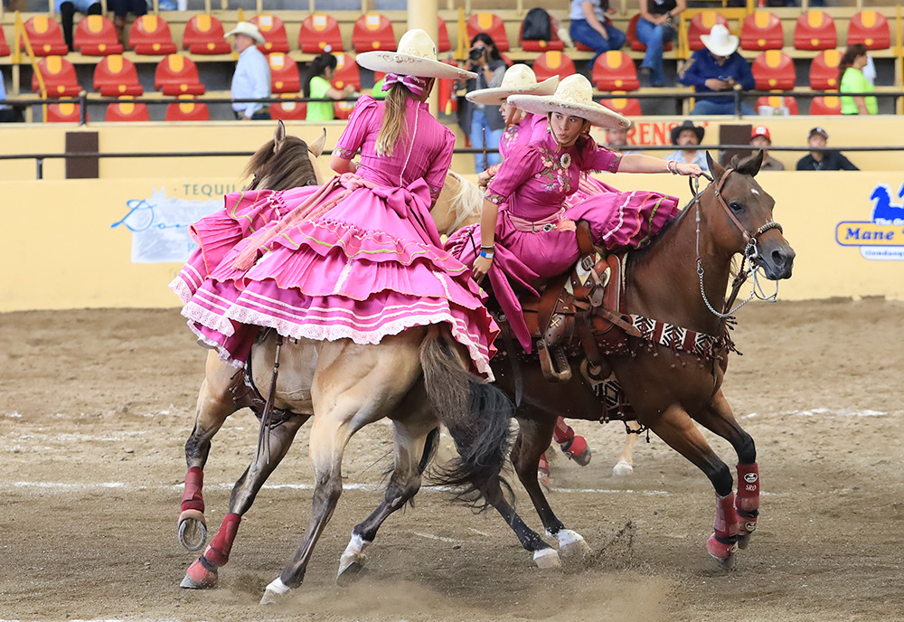 millonariothv's tweet photo. A segunda posición Rancho El Diamante “B”, en la categoría "AA" del #CampeonatoMillonarioTHV #LaPichoniza 

https://t.co/atgYLouwqq https://t.co/K3gFtrLHG9