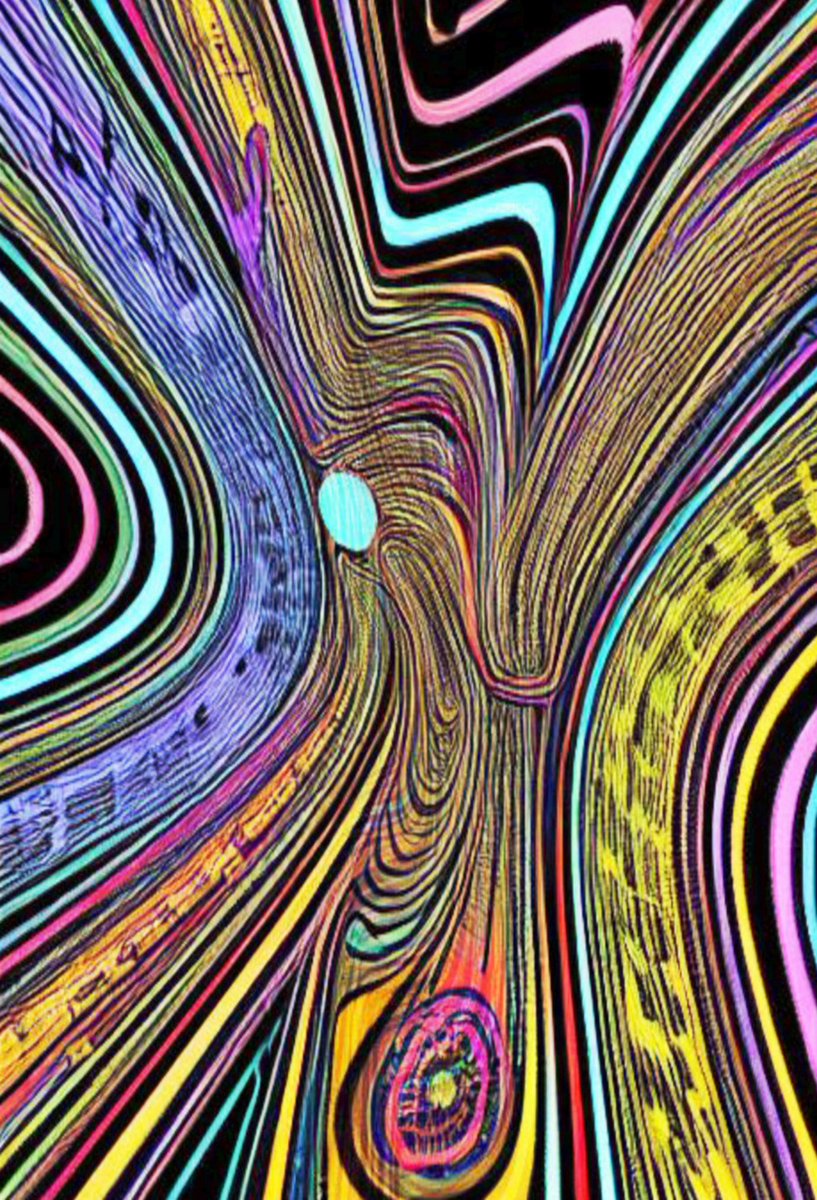 Rat Belly tweet media