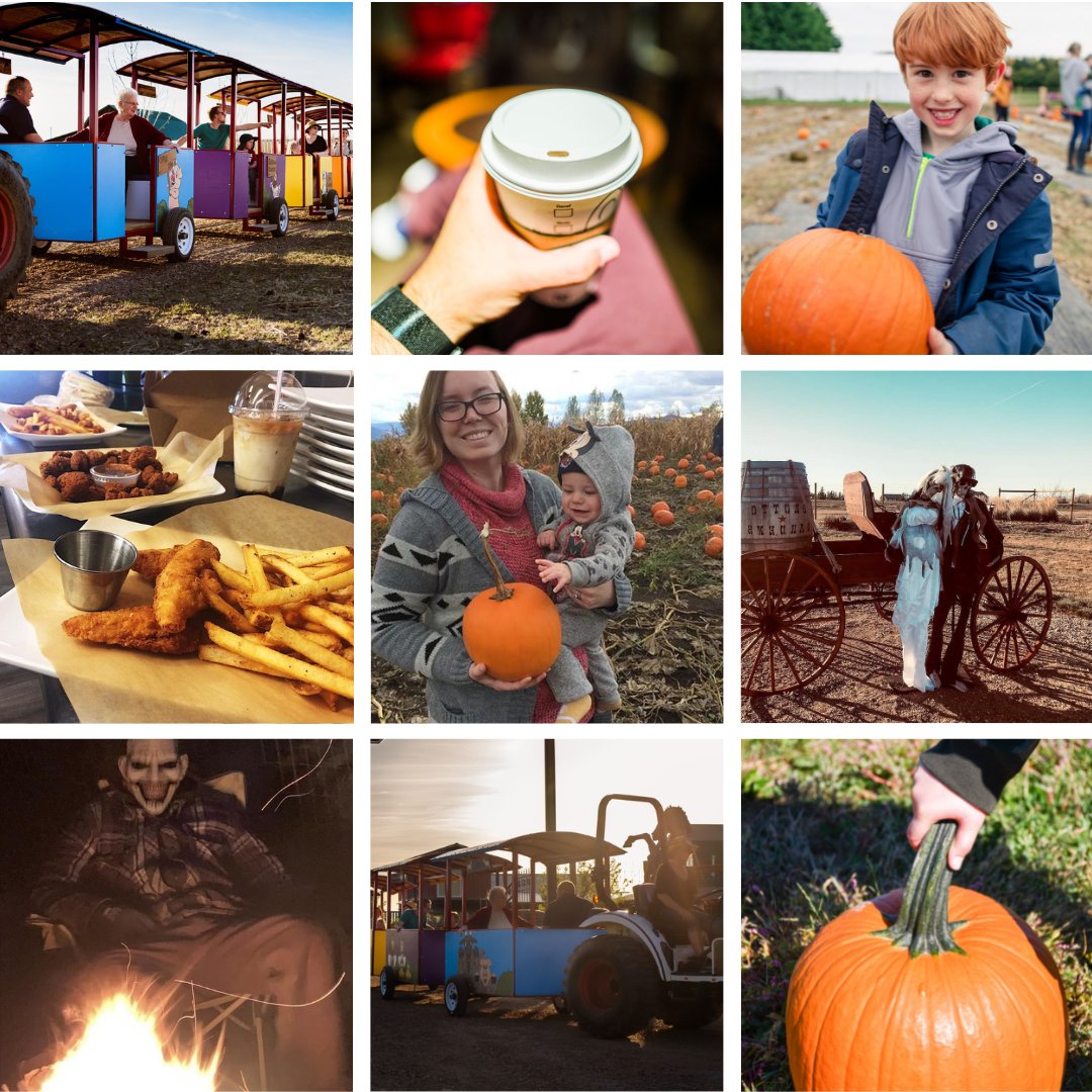 Book your Fall Fun! 
Take a ride on our Pumpkin Train and enjoy the beautiful Fall scenery, pick out the perfect pumpkin, and meet our Pumpkin Princess 👑 bit.ly/3R9FRpO 
Get spooked at our haunted farm. Attend a daylight or evening haunt 👻 bit.ly/3e9OkKI