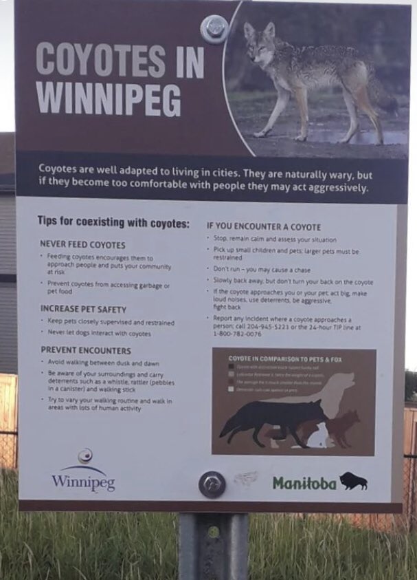 NuchaBlue's tweet photo. Winnipeg. What is this? What is this?! #mildpanic https://t.co/a0sd832POx
