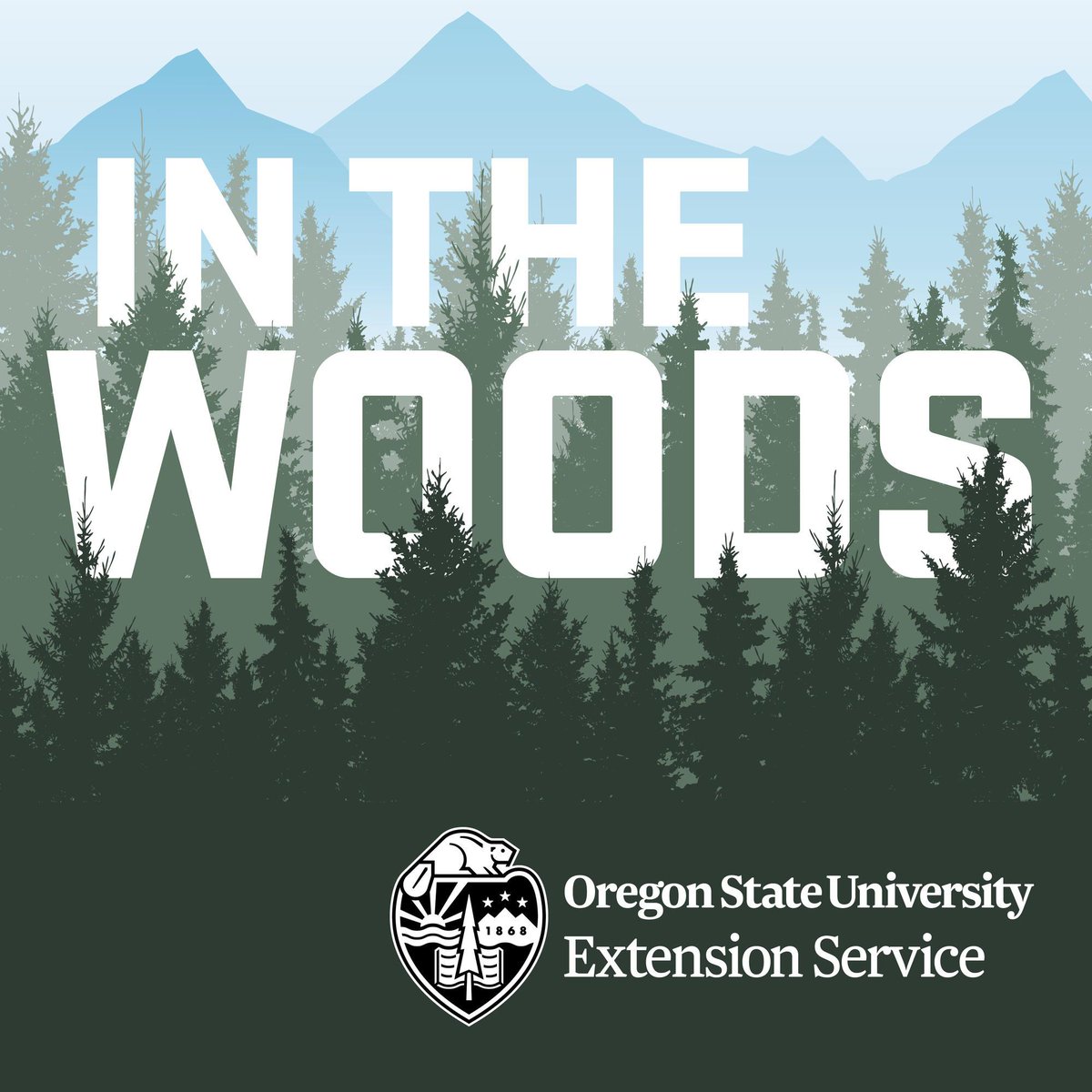 "In the Woods," a podcast of the OSU Extension Forestry &amp; Natural Resources program, brings the forest to listeners by sharing stories &amp; interviews of forest scientists, land managers and enthusiastic members of the public. bit.ly/3OXFtZM <a href="/COFOregonState/">Forestry - OSU</a> <a href="/ORDeptForestry/">Oregon Forestry</a>
